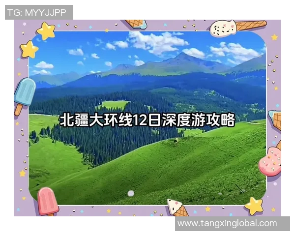 糖心vlog入口在哪-关于糖心vlog的入口探寻之旅-糖心vlog入口在哪